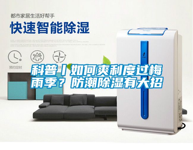 科普丨如何爽利度过梅雨季？防潮除湿有大招