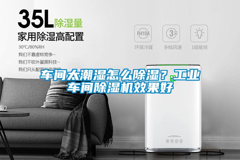 车间太潮湿怎么除湿？工业车间蜜柚直播APP正版下载效果好