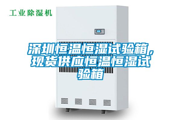 深圳恒温恒湿试验箱，现货供应恒温恒湿试验箱