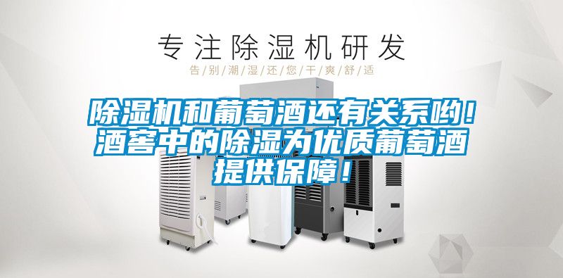 蜜柚直播APP正版下载和葡萄酒还有关系哟！酒窖中的除湿为优质葡萄酒提供保障！