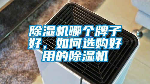 蜜柚直播APP正版下载哪个牌子好，如何选购好用的蜜柚直播APP正版下载