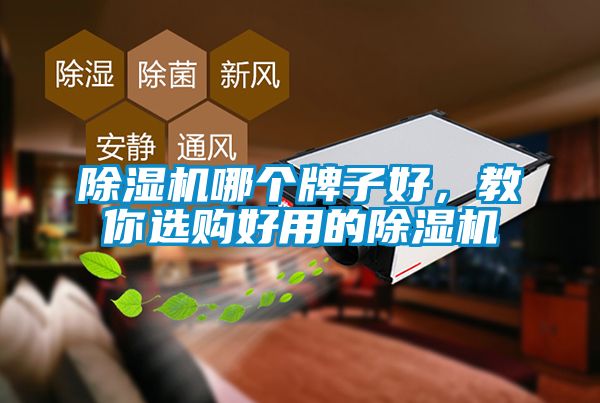 蜜柚直播APP正版下载哪个牌子好，教你选购好用的蜜柚直播APP正版下载
