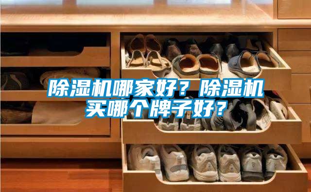 蜜柚直播APP正版下载哪家好？蜜柚直播APP正版下载买哪个牌子好？