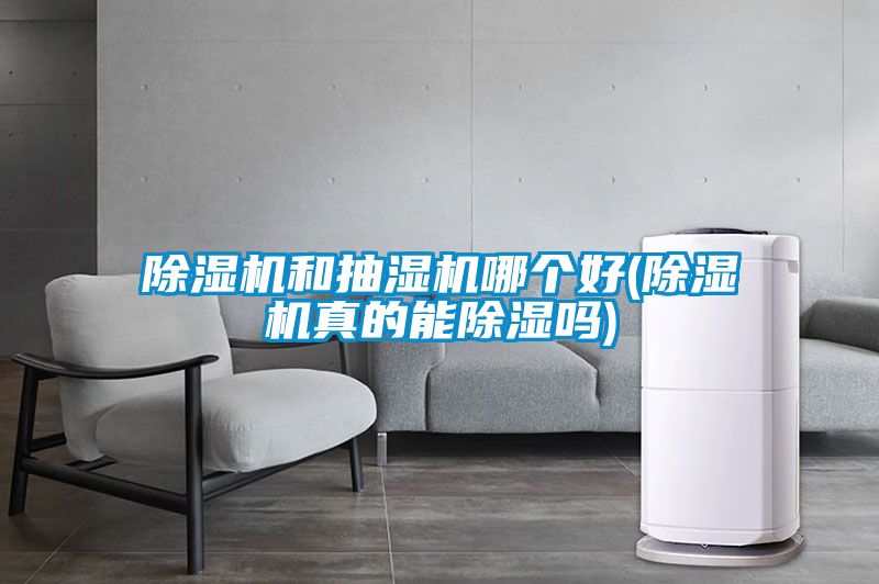 蜜柚直播APP正版下载和抽湿机哪个好(蜜柚直播APP正版下载真的能除湿吗)