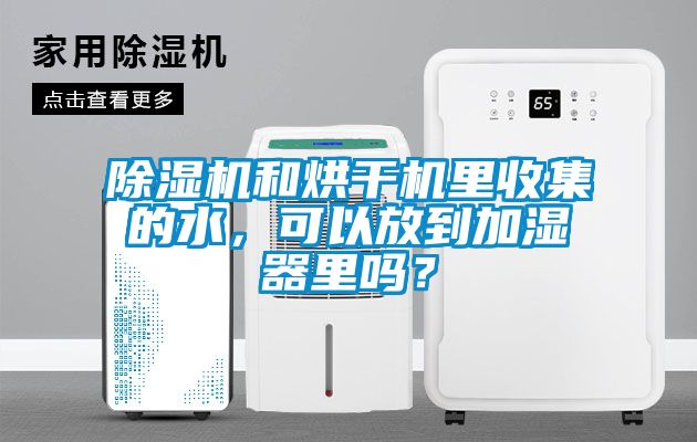 蜜柚直播APP正版下载和烘干机里收集的水，可以放到加湿器里吗？