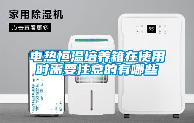 电热恒温培养箱在使用时需要注意的有哪些
