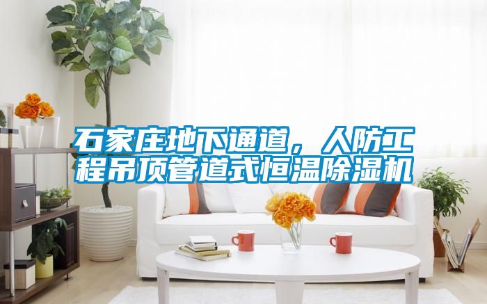 石家庄地下通道，人防工程吊顶管道式恒温蜜柚直播APP正版下载