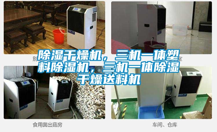 除湿干燥机，三机一体塑料蜜柚直播APP正版下载，三机一体除湿干燥送料机