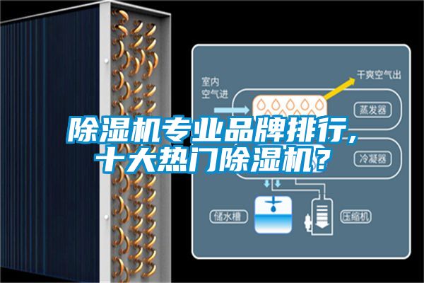 蜜柚直播APP正版下载专业品牌排行,十大热门蜜柚直播APP正版下载？