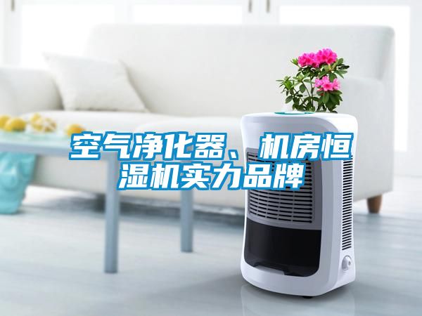 空气净化器、机房恒湿机实力品牌