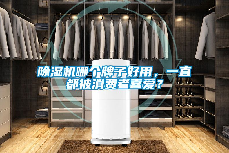 蜜柚直播APP正版下载哪个牌子好用，一直都被消费者喜爱？