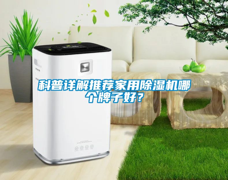 科普详解推荐家用蜜柚直播APP正版下载哪个牌子好？