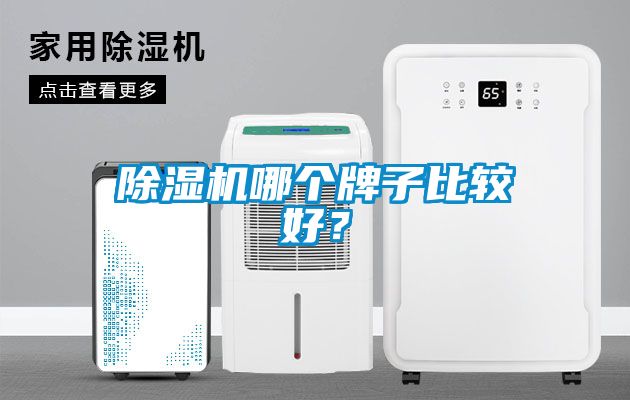 蜜柚直播APP正版下载哪个牌子比较好？