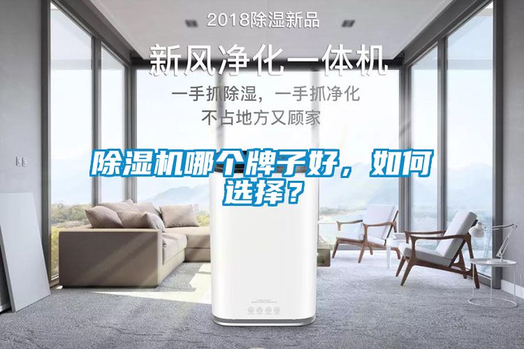 蜜柚直播APP正版下载哪个牌子好，如何选择？