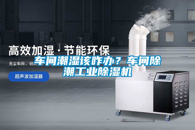 车间潮湿该咋办？车间除潮工业蜜柚直播APP正版下载