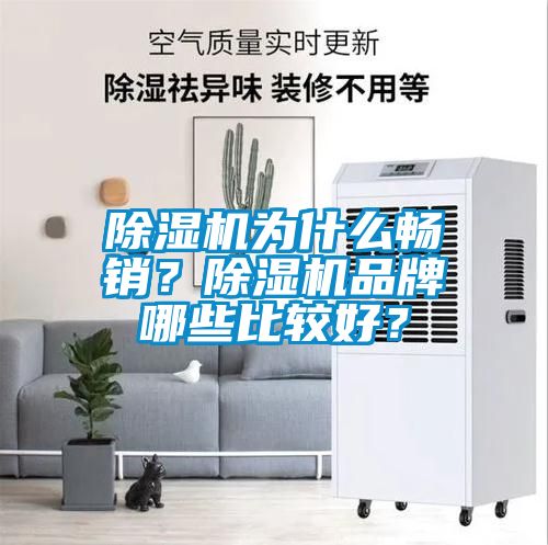 蜜柚直播APP正版下载为什么畅销？蜜柚直播APP正版下载品牌哪些比较好？