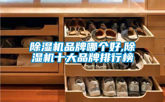 蜜柚直播APP正版下载品牌哪个好,蜜柚直播APP正版下载十大品牌排行榜