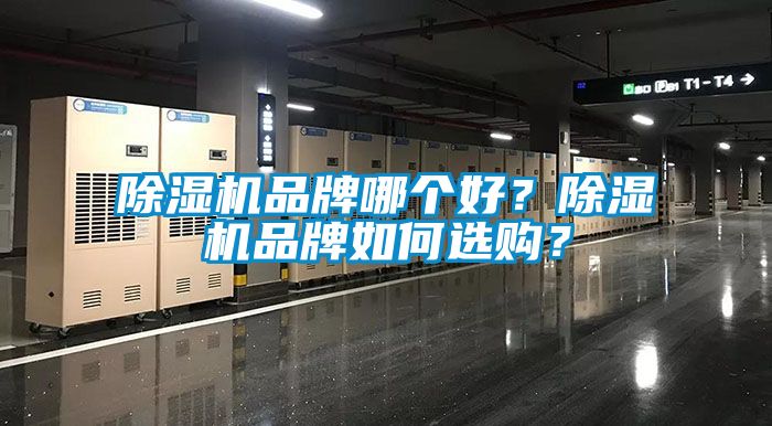 蜜柚直播APP正版下载品牌哪个好？蜜柚直播APP正版下载品牌如何选购？