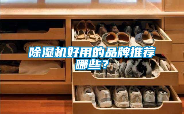 蜜柚直播APP正版下载好用的品牌推荐哪些？