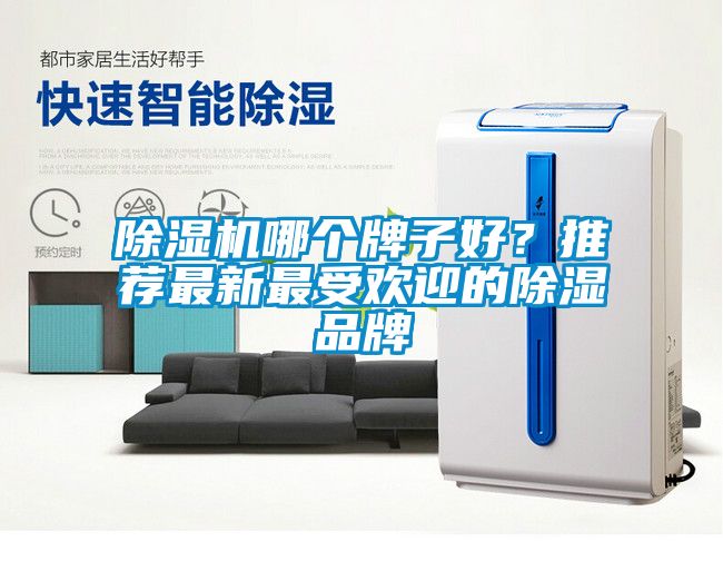 蜜柚直播APP正版下载哪个牌子好？推荐最新最受欢迎的除湿品牌