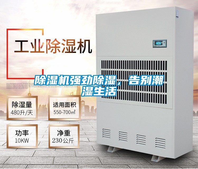 蜜柚直播APP正版下载强劲除湿，告别潮湿生活