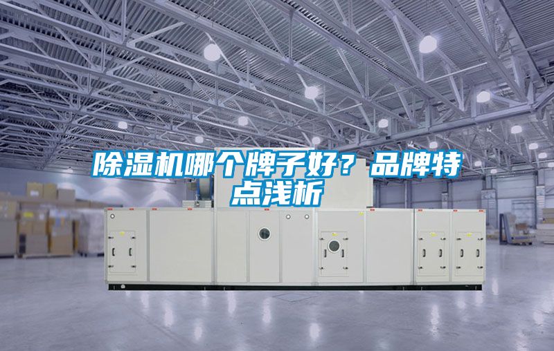 蜜柚直播APP正版下载哪个牌子好？品牌特点浅析