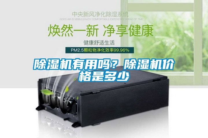 蜜柚直播APP正版下载有用吗？蜜柚直播APP正版下载价格是多少