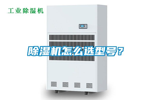 蜜柚直播APP正版下载怎么选型号？