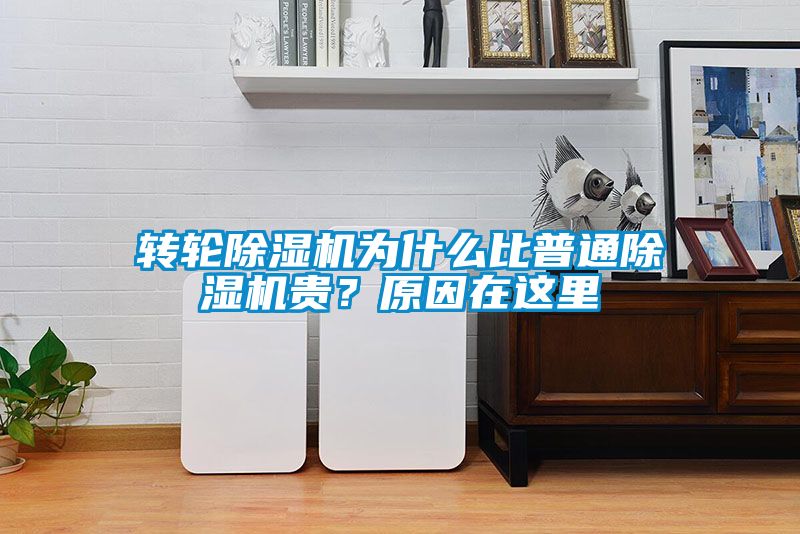 转轮蜜柚直播APP正版下载为什么比普通蜜柚直播APP正版下载贵？原因在这里