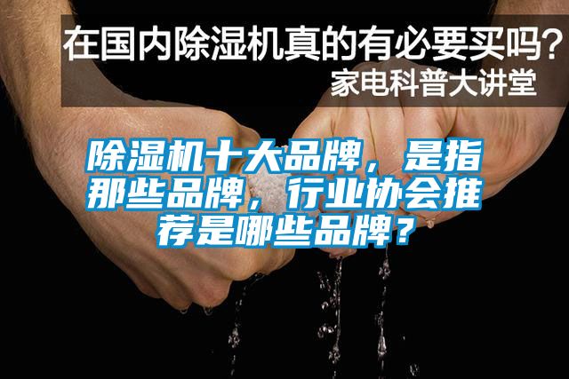 蜜柚直播APP正版下载十大品牌，是指那些品牌，行业协会推荐是哪些品牌？