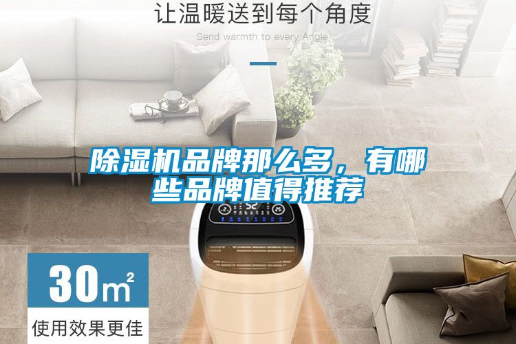 蜜柚直播APP正版下载品牌那么多，有哪些品牌值得推荐