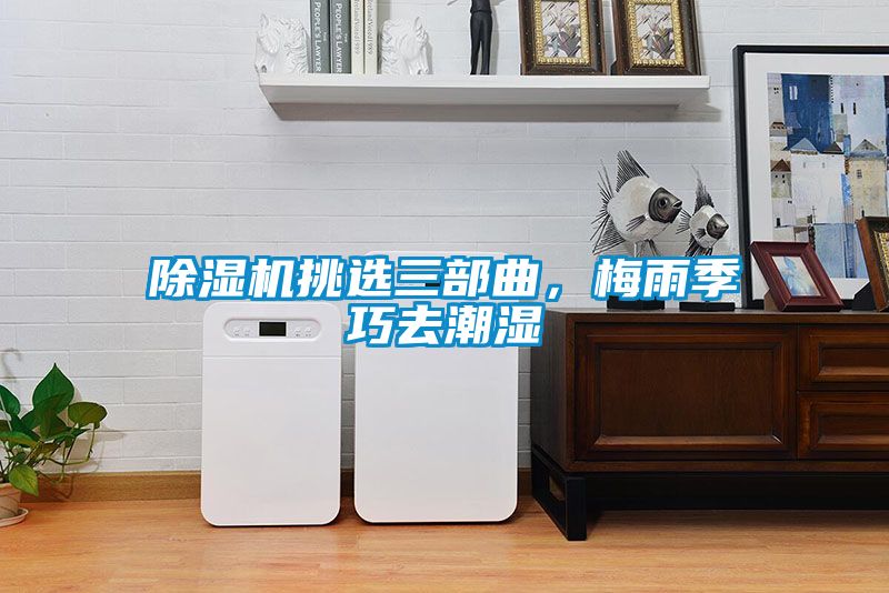 蜜柚直播APP正版下载挑选三部曲，梅雨季巧去潮湿