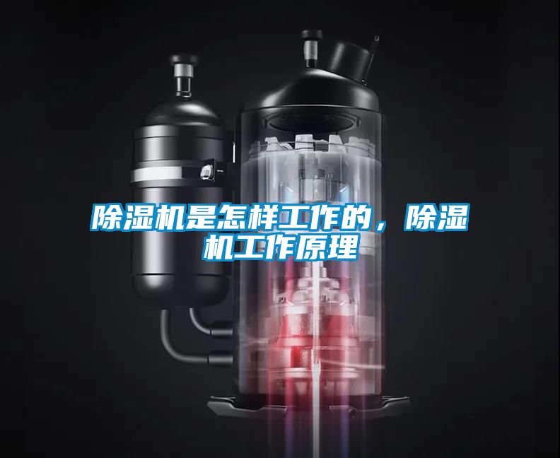 蜜柚直播APP正版下载是怎样工作的，蜜柚直播APP正版下载工作原理
