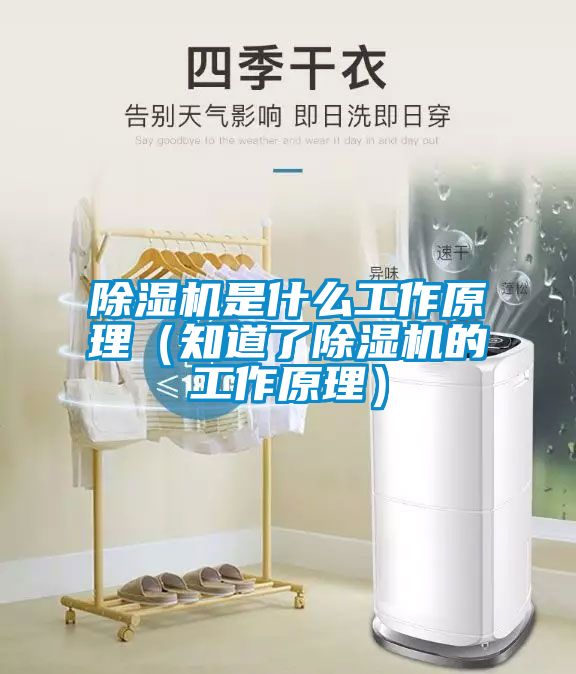 蜜柚直播APP正版下载是什么工作原理（知道了蜜柚直播APP正版下载的工作原理）