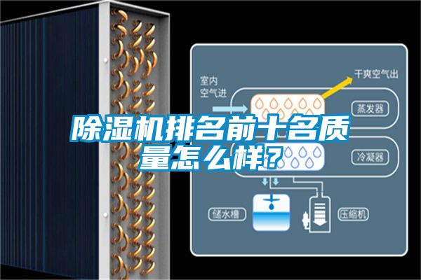 蜜柚直播APP正版下载排名前十名质量怎么样？