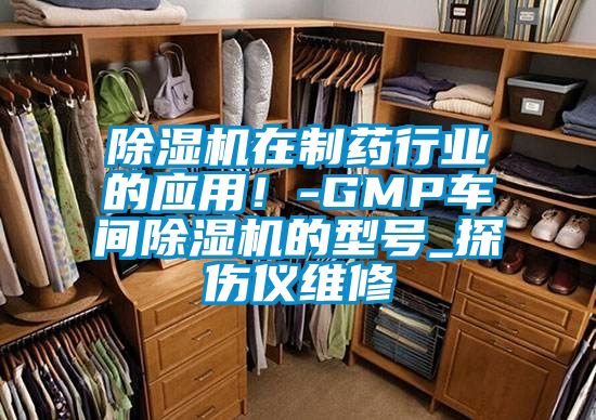 蜜柚直播APP正版下载在制药行业的应用！-GMP车间蜜柚直播APP正版下载的型号_探伤仪维修