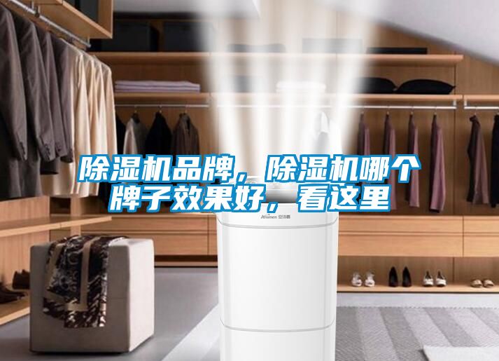 蜜柚直播APP正版下载品牌，蜜柚直播APP正版下载哪个牌子效果好，看这里