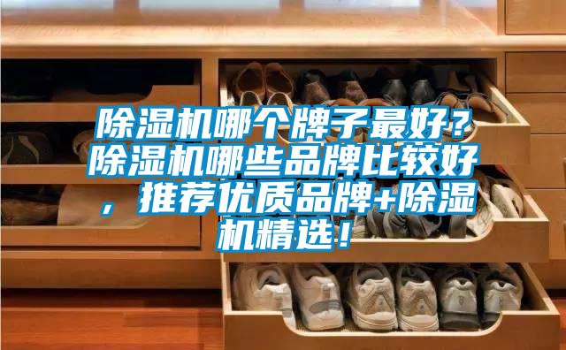 蜜柚直播APP正版下载哪个牌子最好？蜜柚直播APP正版下载哪些品牌比较好，推荐优质品牌+蜜柚直播APP正版下载精选！