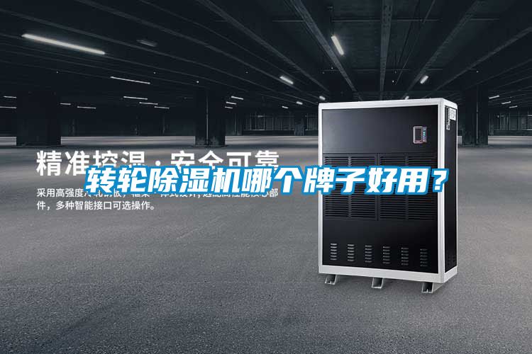 转轮蜜柚直播APP正版下载哪个牌子好用？