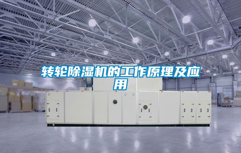 转轮蜜柚直播APP正版下载的工作原理及应用