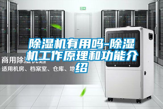 蜜柚直播APP正版下载有用吗-蜜柚直播APP正版下载工作原理和功能介绍