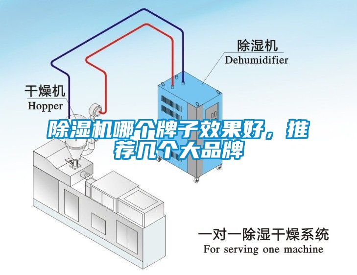 蜜柚直播APP正版下载哪个牌子效果好，推荐几个大品牌