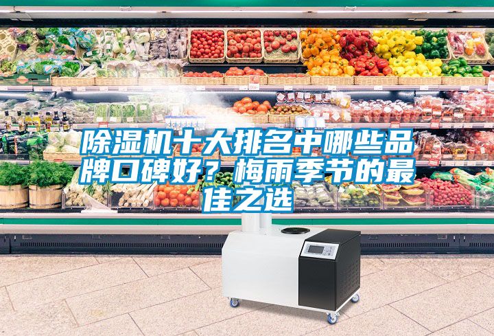蜜柚直播APP正版下载十大排名中哪些品牌口碑好？梅雨季节的最佳之选