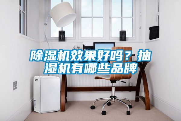 蜜柚直播APP正版下载效果好吗？抽湿机有哪些品牌