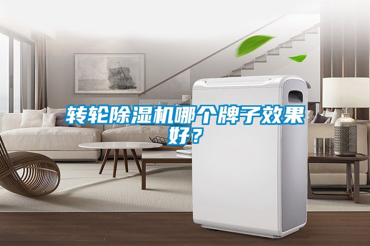 转轮蜜柚直播APP正版下载哪个牌子效果好？