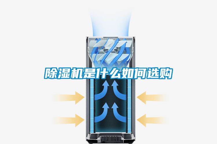 蜜柚直播APP正版下载是什么如何选购