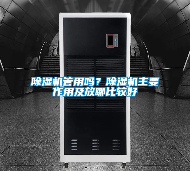蜜柚直播APP正版下载管用吗？蜜柚直播APP正版下载主要作用及放哪比较好