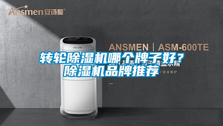 转轮蜜柚直播APP正版下载哪个牌子好？蜜柚直播APP正版下载品牌推荐