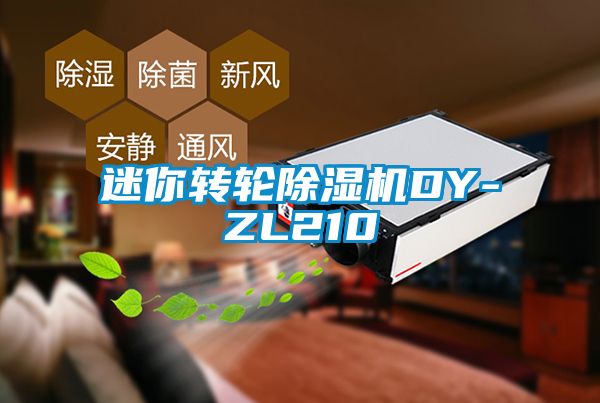 迷你转轮蜜柚直播APP正版下载DY-ZL210
