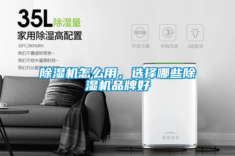 蜜柚直播APP正版下载怎么用，选择哪些蜜柚直播APP正版下载品牌好